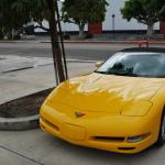 WCC_0007 (April 06, 2013)